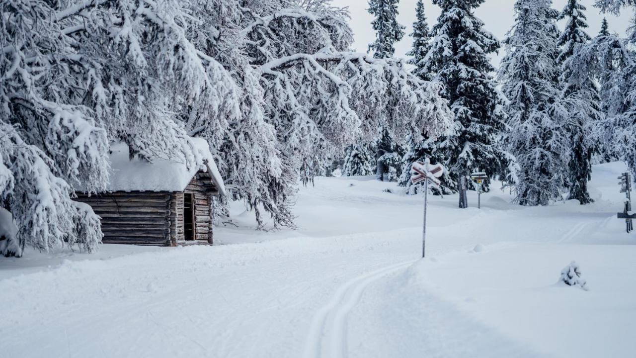 Loevasgardens Fjaellhotell Lovasen Buitenkant foto