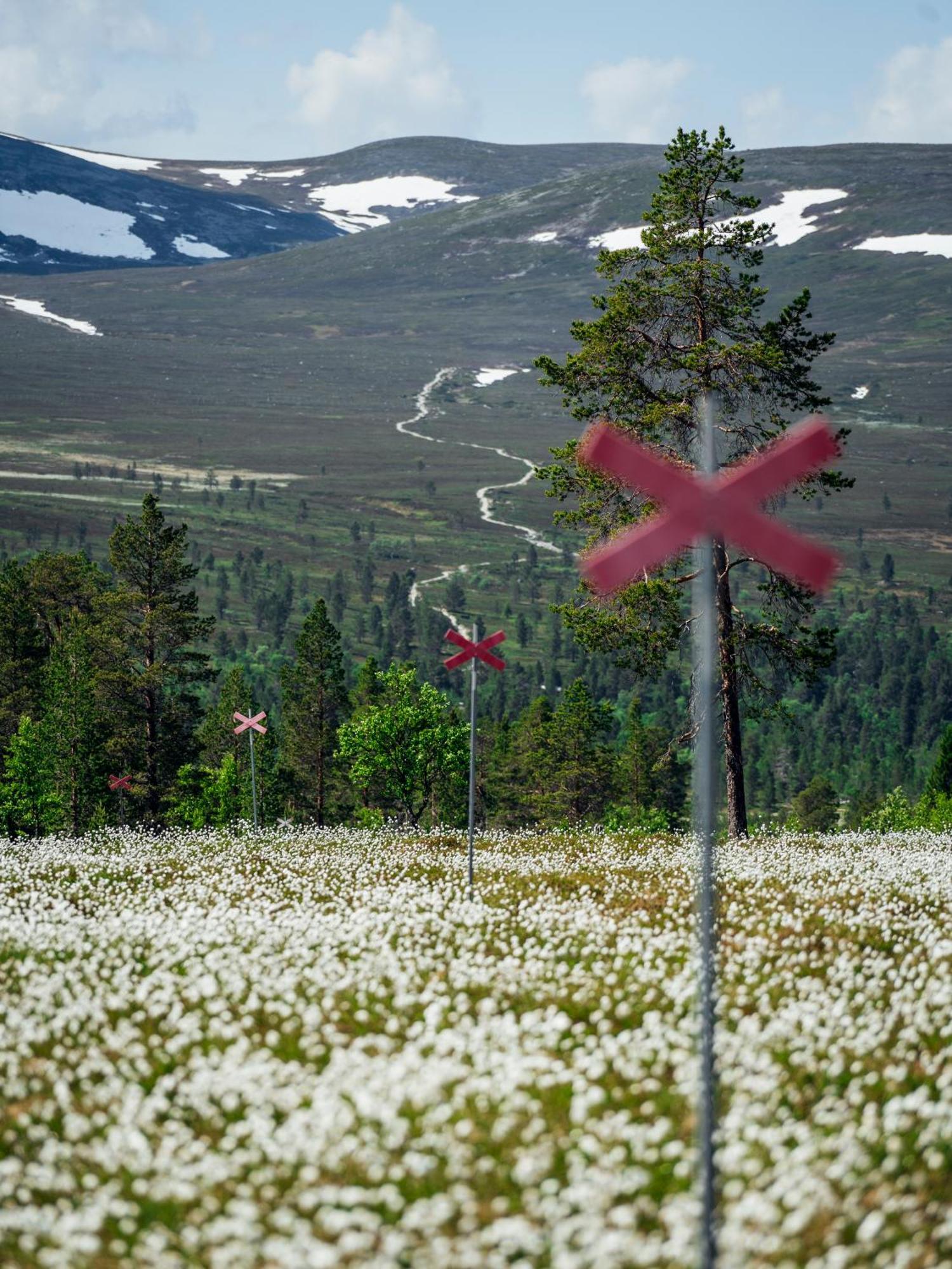 Loevasgardens Fjaellhotell Lovasen Buitenkant foto